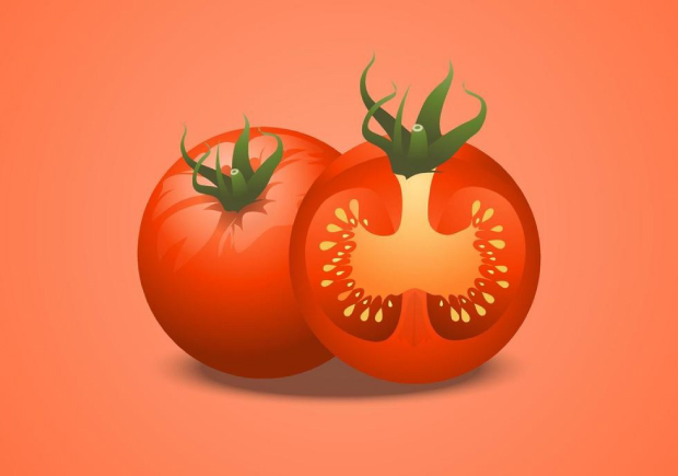 红动市场：西红柿品牌起名创意与商标注册全攻略