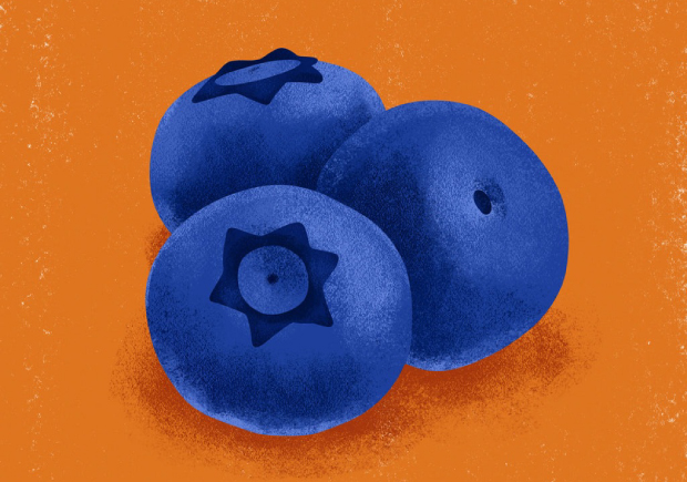蓝莓商标取名案例分析.jpeg